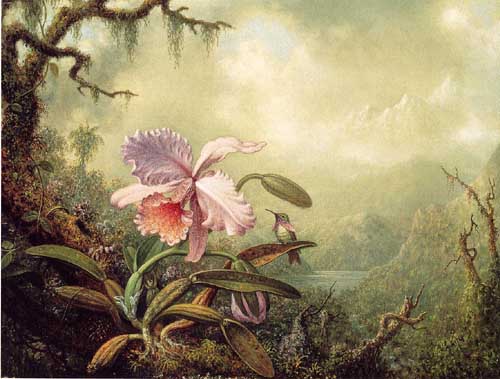 Painting Code#6221-Martin Johnson Heade - Heliodore&#039;s Woodstar and a Pink Orchid
